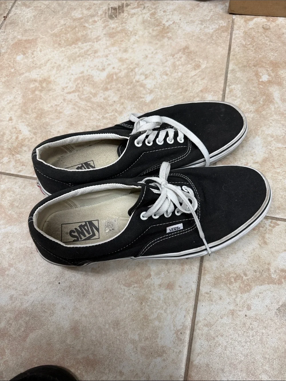Vans Black Canvas Low-Top Sneakers with White Laces